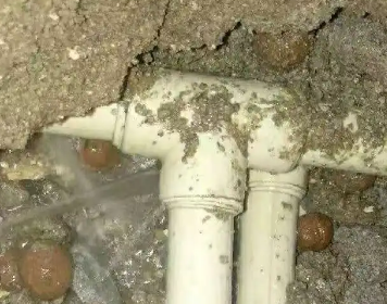 元宝测漏水多少钱