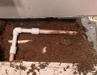 元宝测漏水哪家好