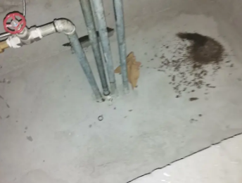 元宝卫生间测漏水价格明细