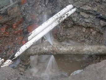 元宝测漏水多少钱